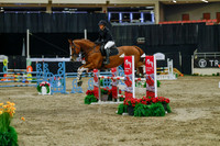 2025 - Haylee - Royal West - Sunday October 19th - 04716