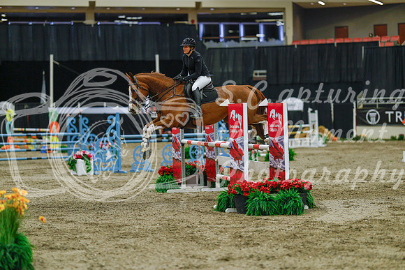 2025 - Haylee - Royal West - Sunday October 19th - 04716