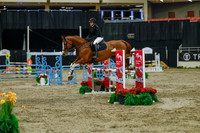 2025 - Haylee - Royal West - Sunday October 19th - 04717