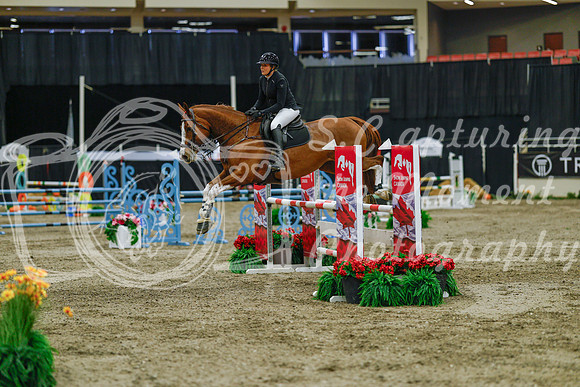 2025 - Haylee - Royal West - Sunday October 19th - 04717