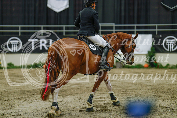 2025 - Haylee - Royal West - Sunday October 19th - 04719