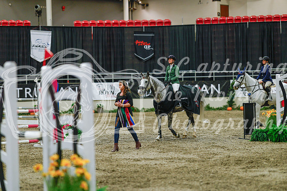 2025 - Haylee - Royal West - Sunday October 19th - 05510