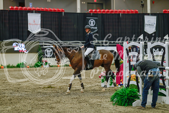 2025 - Haylee - Royal West - Sunday October 19th - 05524