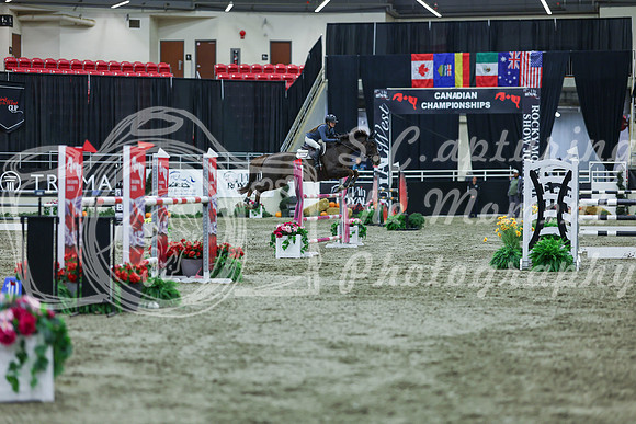 2025 - Shea - Royal West - Sunday October 19th - 07251