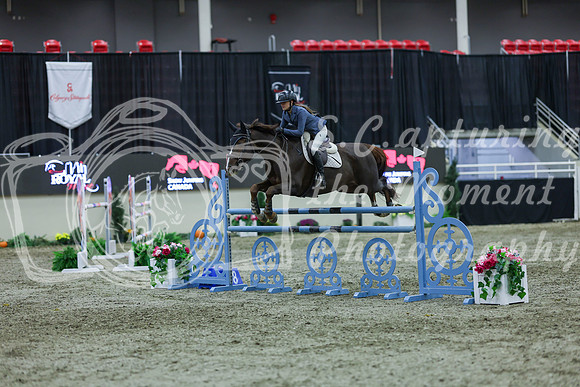 2025 - Shea - Royal West - Sunday October 19th - 07273