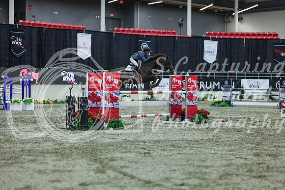 2025 - Shea - Royal West - Sunday October 19th - 07283
