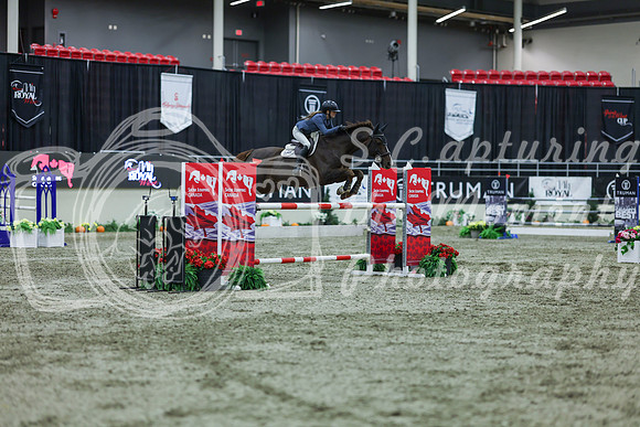 2025 - Shea - Royal West - Sunday October 19th - 07284