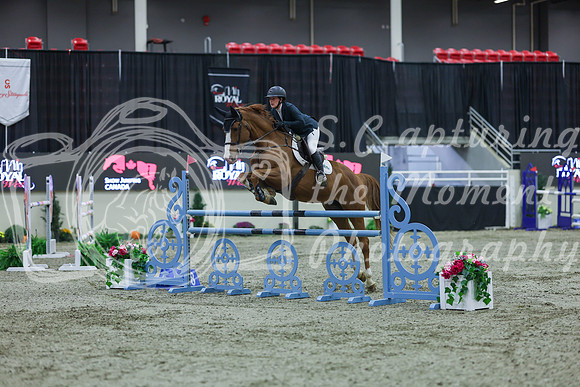 2025 - Shea - Royal West - Sunday October 19th - 06013