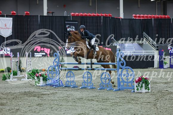 2025 - Shea - Royal West - Sunday October 19th - 06014