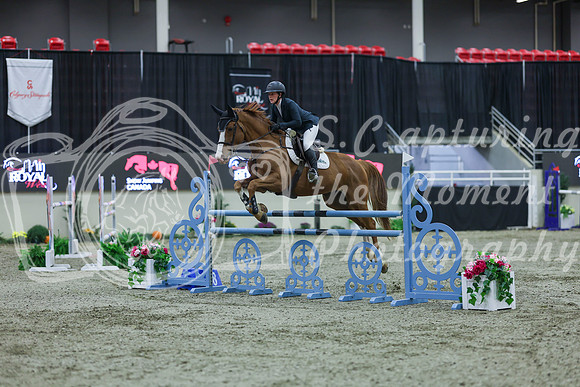 2025 - Shea - Royal West - Sunday October 19th - 06015