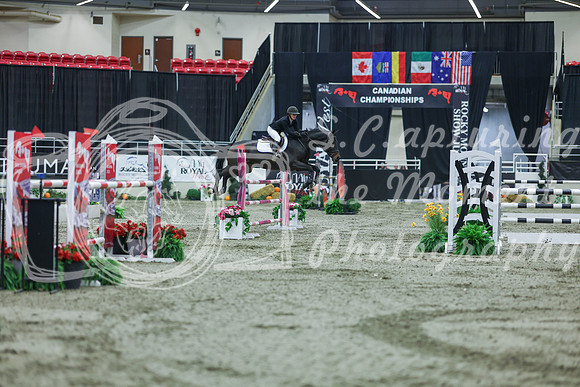 2025 - Shea - Royal West - Sunday October 19th - 06075