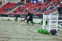 2025 - Shea - Royal West - Sunday October 19th - 06077