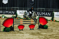 2025 - Haylee - Royal West - Sunday October 19th - 11764