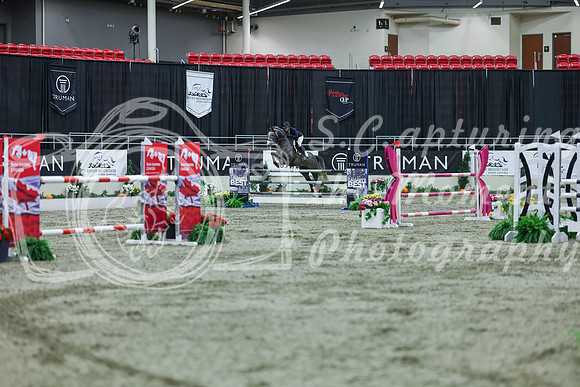 2025 - Shea - Royal West - Sunday October 19th - 06486