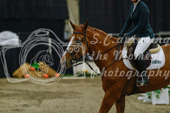 2025 - Haylee - Royal West - Sunday October 19th - 08862
