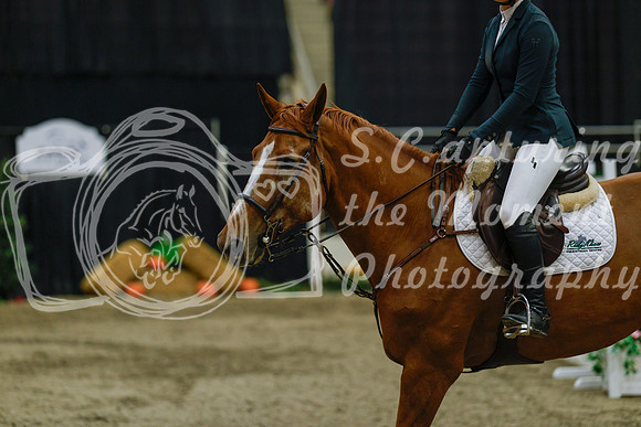2025 - Haylee - Royal West - Sunday October 19th - 08864