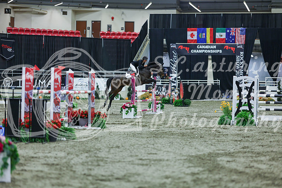 2025 - Shea - Royal West - Sunday October 19th - 06522