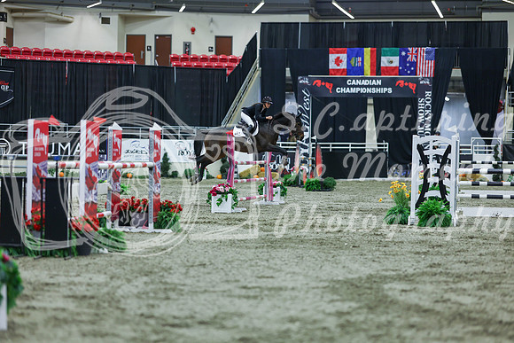 2025 - Shea - Royal West - Sunday October 19th - 06524