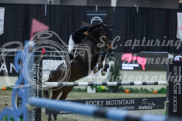 2025 - Shea - Royal West - Sunday October 19th - 06534