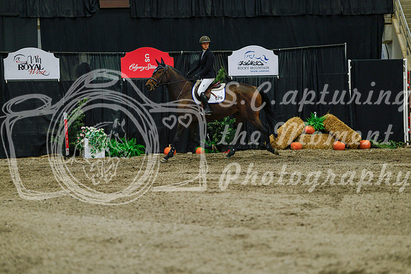 2025 - Haylee - Royal West - Sunday October 19th - 08744