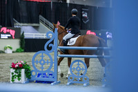 2025 - Shea - Royal West - Sunday October 19th - 06603
