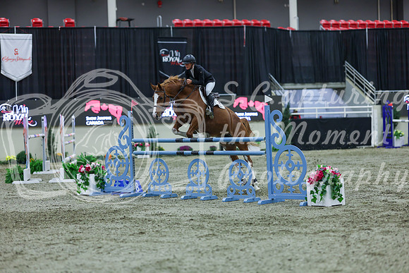 2025 - Shea - Royal West - Sunday October 19th - 06626