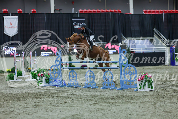 2025 - Shea - Royal West - Sunday October 19th - 06627
