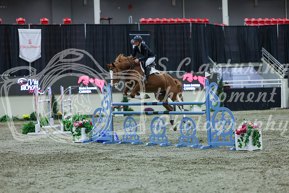 2025 - Shea - Royal West - Sunday October 19th - 06629