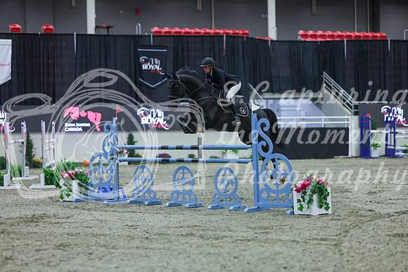 2025 - Shea - Royal West - Sunday October 19th - 05865