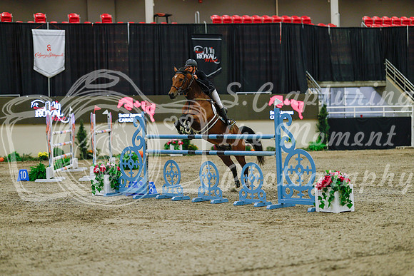 2025 - Haylee - Royal West - Sunday October 19th - 08017