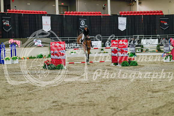 2025 - Haylee - Royal West - Sunday October 19th - 08068
