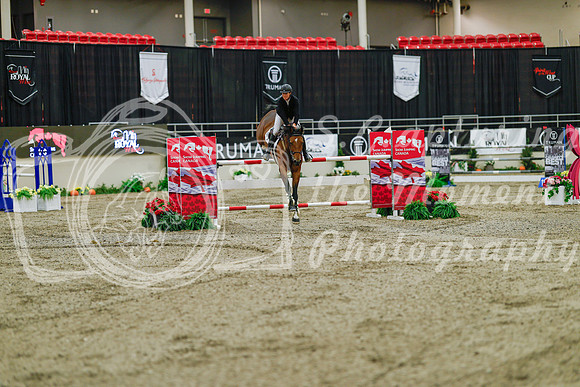 2025 - Haylee - Royal West - Sunday October 19th - 08069