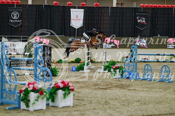 2025 - Haylee - Royal West - Sunday October 19th - 08078