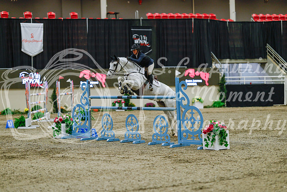 2025 - Haylee - Royal West - Sunday October 19th - 08157