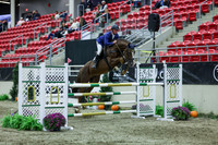 2025 - Shea - Royal West - Sunday October 19th - 07481