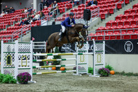 2025 - Shea - Royal West - Sunday October 19th - 07485