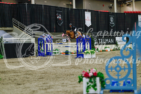 2025 - Haylee - Royal West - Sunday October 19th - 08224