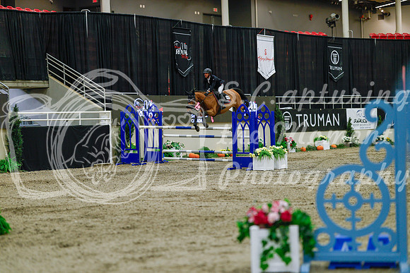 2025 - Haylee - Royal West - Sunday October 19th - 08227