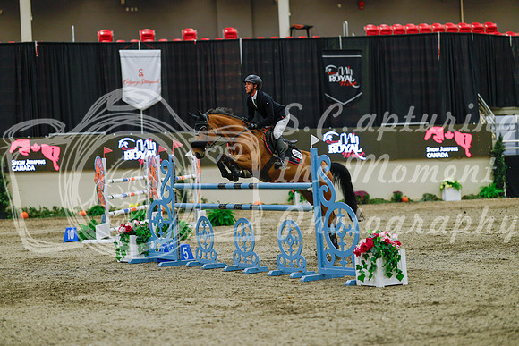 2025 - Haylee - Royal West - Sunday October 19th - 08246