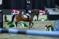 2025 - Shea - Royal West - Sunday October 19th - 07006