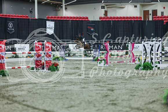2025 - Shea - Royal West - Sunday October 19th - 06212
