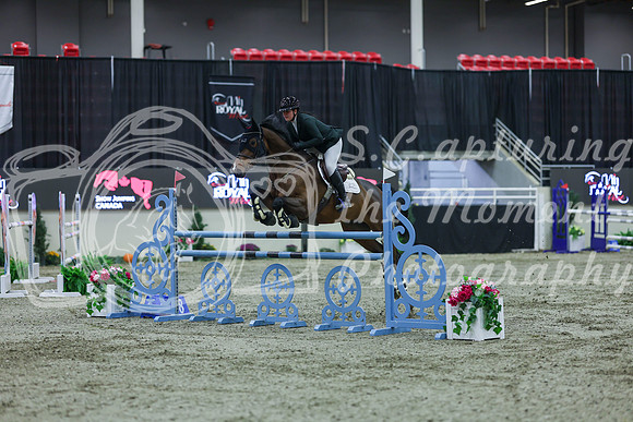 2025 - Shea - Royal West - Sunday October 19th - 06217