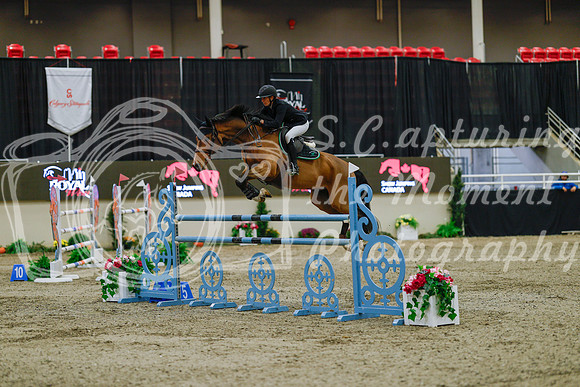 2025 - Haylee - Royal West - Sunday October 19th - 07875