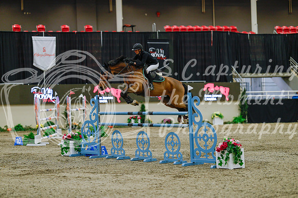 2025 - Haylee - Royal West - Sunday October 19th - 07877