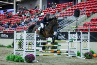2025 - Shea - Royal West - Sunday October 19th - 06272