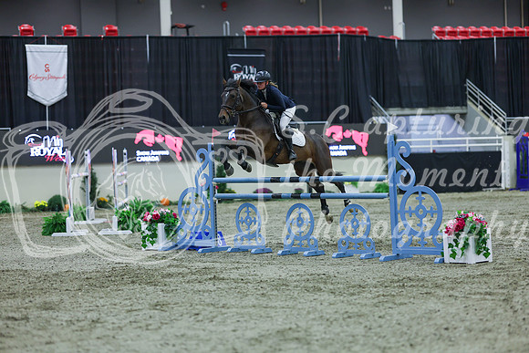 2025 - Shea - Royal West - Sunday October 19th - 06284