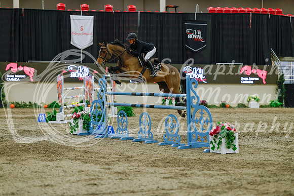2025 - Haylee - Royal West - Sunday October 19th - 09326
