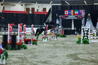 2025 - Shea - Royal West - Sunday October 19th - 06319