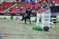 2025 - Shea - Royal West - Sunday October 19th - 06324