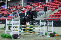 2025 - Shea - Royal West - Sunday October 19th - 06328
